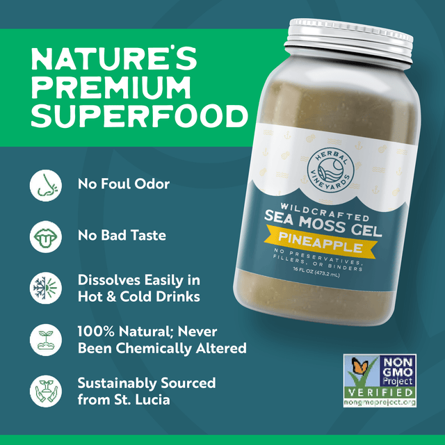 EXCLUSIVE PINEAPPLE SEA MOSS GEL
