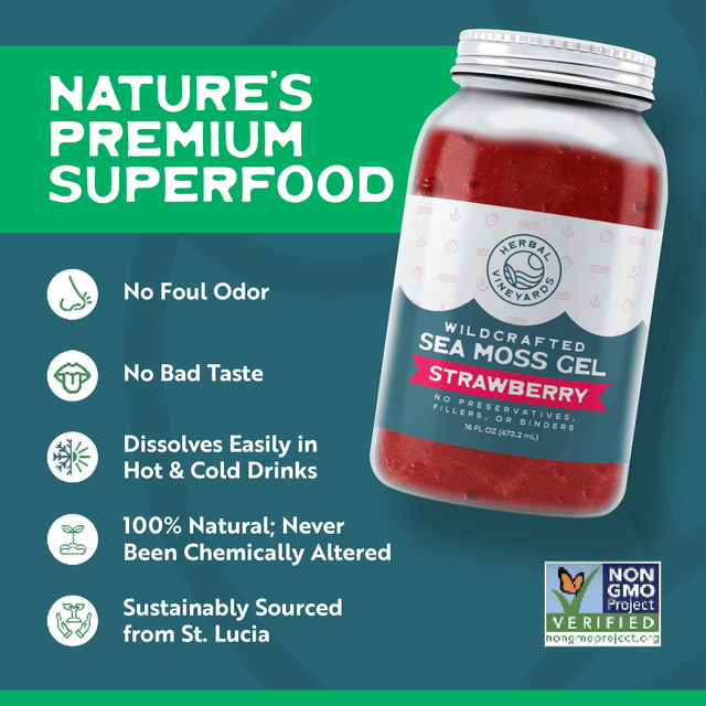 EXCLUSIVE STRAWBERRY SEA MOSS GEL