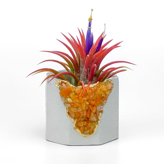 RED AVENTURINE GEODE PLANTER