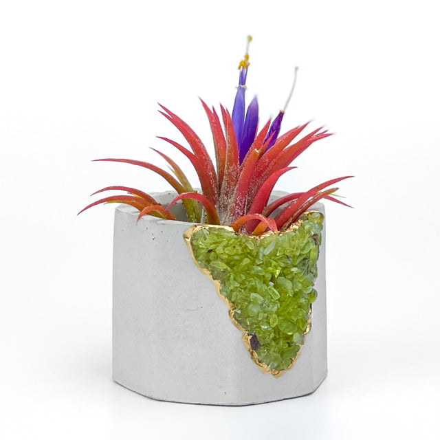 GREEN PERIDOT GEODE PLANTER