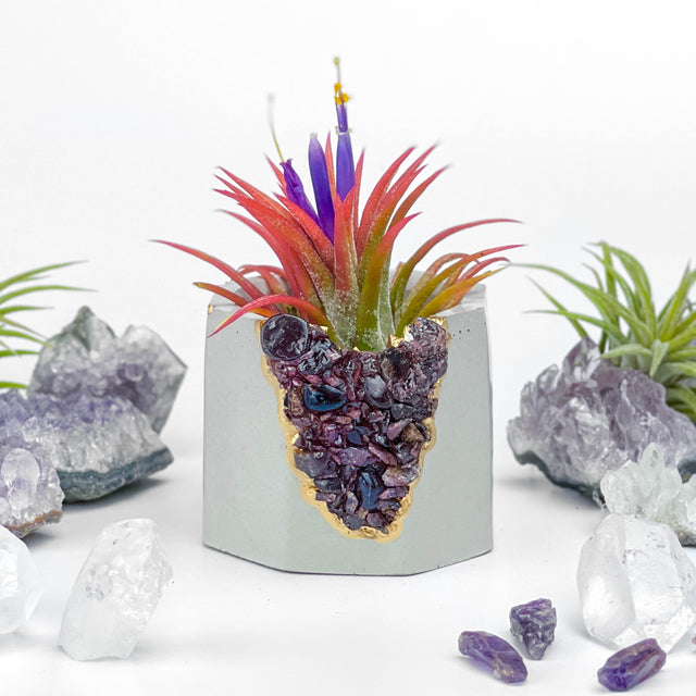 GARNET GEODE PLANTER