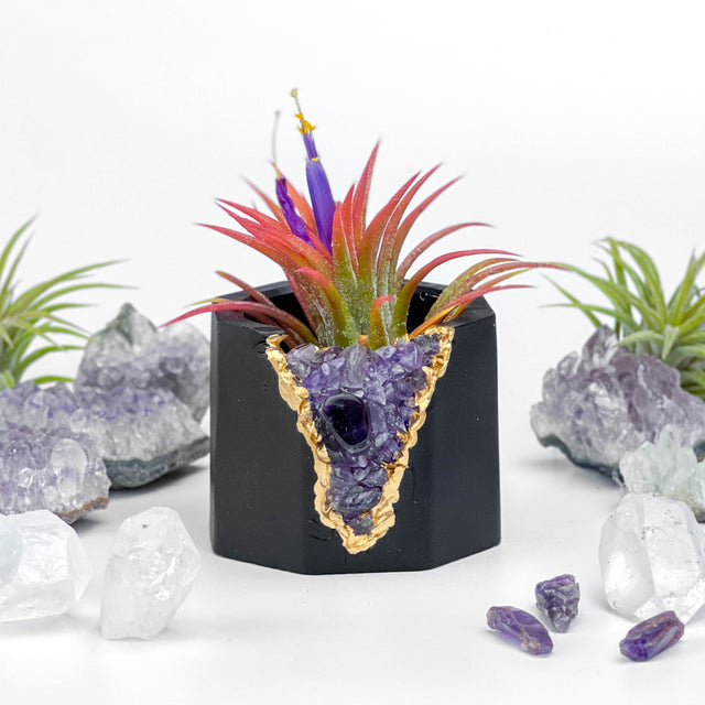Black AMETHYST GEODE PLANTER