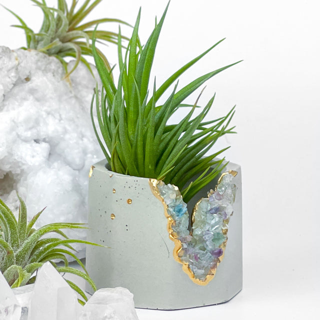 FLUORITE GEODE PLANTER