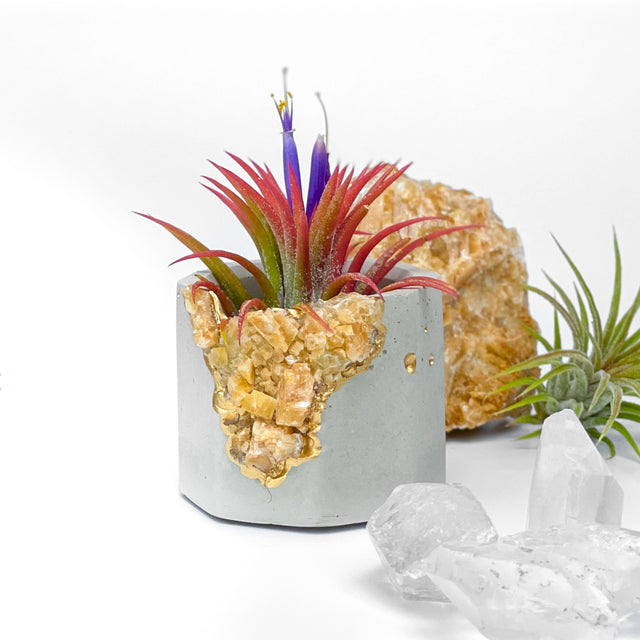 ORANGE CALCITE GEODE PLANTER