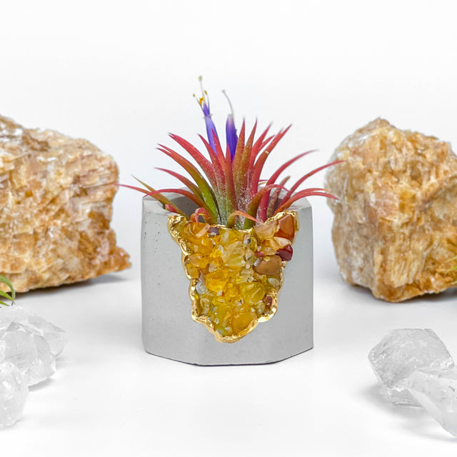 YELLOW AGATE GEODE PLANTER