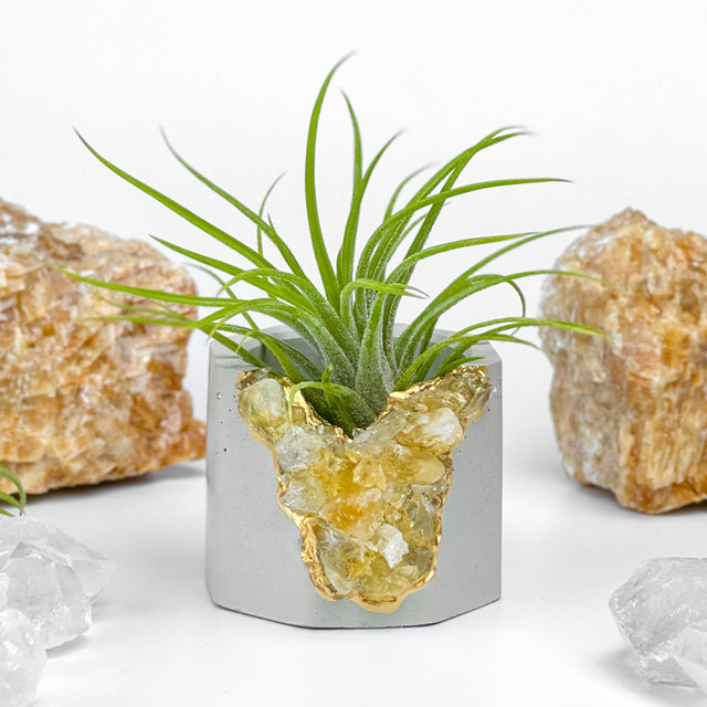 Raw CITRINE GEODE PLANTER