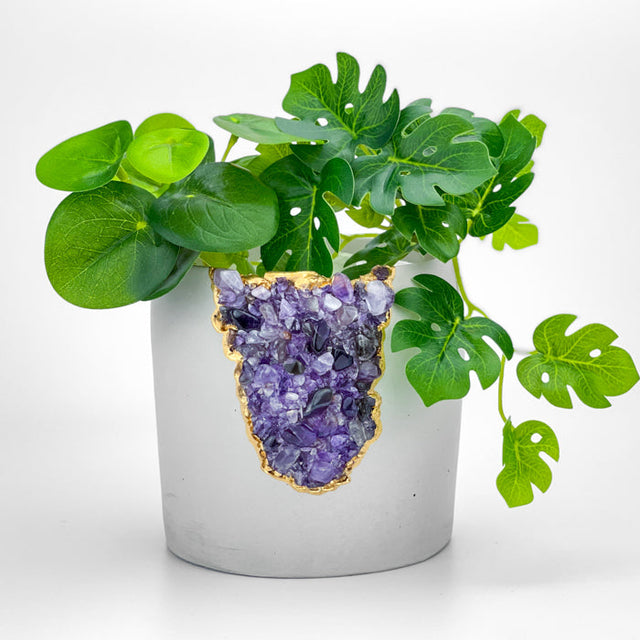 N°5 AMETHYST AURA PLANTER