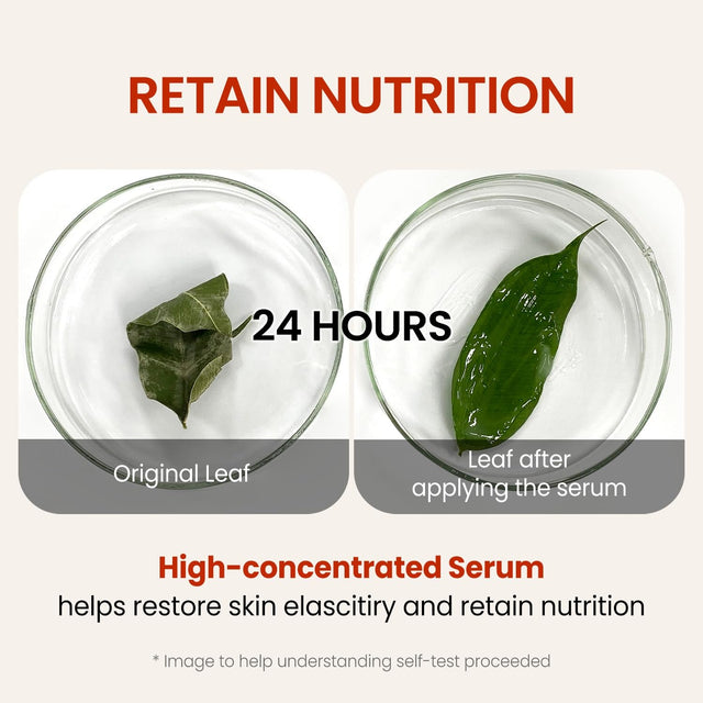 Wrinkle Supreme Serum 0.67 Fl. Oz. Trial-Size, Korean Red Ginseng, Mushrooms | Firming, Lifting, Fine Lines | Korean Skin Care, K-Beauty, 20Ml