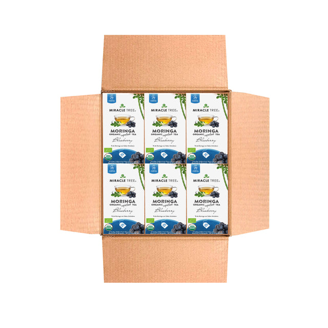 Organic Moringa Tea, Blueberry