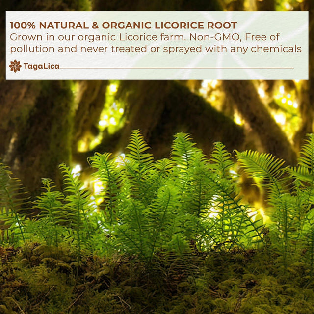 Premium Licorice Root Tea Bags, 100% Natural, Pure Licorice Root, Eco-Conscious Tea Bags, Licorice Root Herbal Tea, Licorice Root Tea. No Sugar, No Caffeine, No Gluten, Vegan