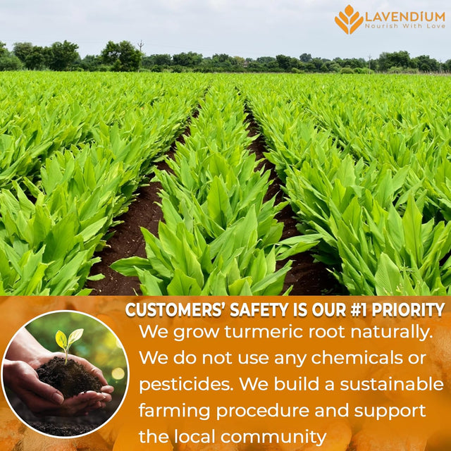 Turmeric Powder, 20oz (1.25 lbs), 100% Natural & Pure, Ground, Seasoning Root Powder, No Additives, No Gluten, Vegan