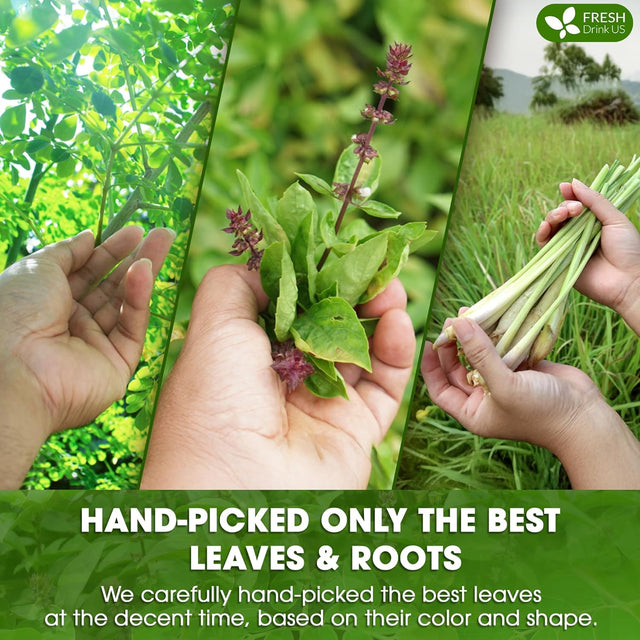 Premium Tulsi Moringa Lemongrass Tea Bags, 100% Natural & Pure from Tulsi Holy Basil Leaves, Moringa & Lemongrass.