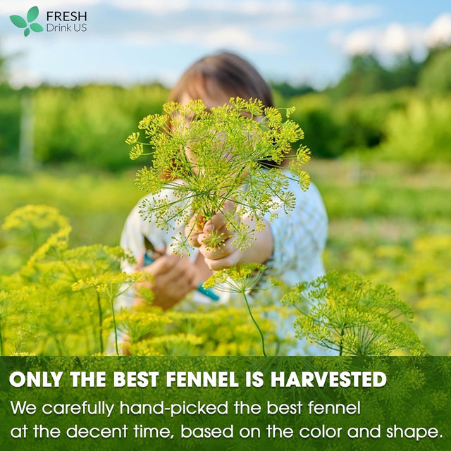 Premium Fennel Tea Bags, 100% Natural & Pure from Fennel Seeds. Fennel Seed Herbal Tea. Fennel Seed Tea. Made with Natural Material Tea Bags. No Sugar, No Caffeine, No Gluten, Vegan.