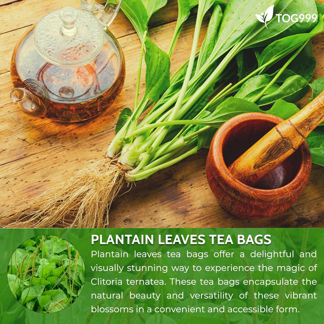 Plantain Leaf Tea Bags, 100% Natural & Pure Plantain Leaves. Loose Leaf Plantain Herbal Tea. Plantain Leaf Tea. No Sugar, No Caffeine, No Gluten, Vegan.
