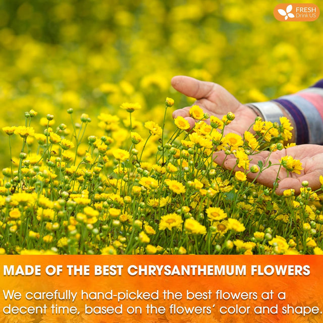 Premium 75 Chrysanthemum Flower Tea Bags