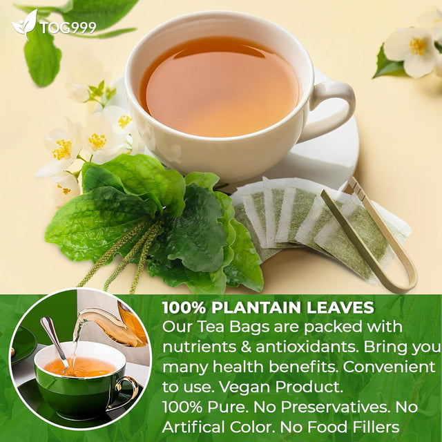 Plantain Leaf Tea Bags, 100% Natural & Pure Plantain Leaves. Loose Leaf Plantain Herbal Tea. Plantain Leaf Tea. No Sugar, No Caffeine, No Gluten, Vegan.
