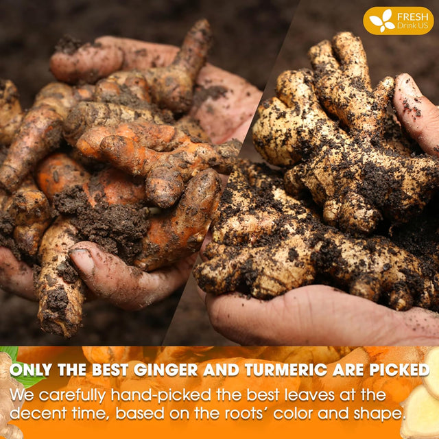 Premium Ginger Turmeric Tea Bags, Hand-made Blend of Ginger and Turmeric Herbal Tea, Eco-conscious Tea Bags. No Sugar, No Caffeine, No Gluten, Vegan.