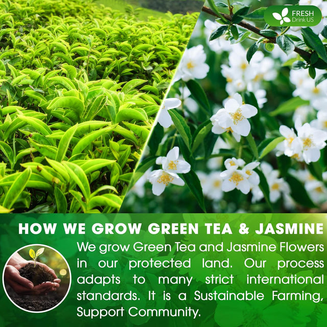 Premium Jasmine Green Tea Bags. Jasmine Green Herbal Tea. Made with Natural Material Tea Bags. No Sugar, No Gluten, Vegan.