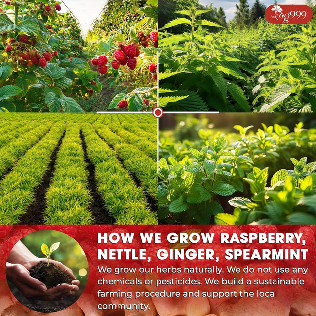 Hormone Balance Natural Menstrual Cycle Support Tea