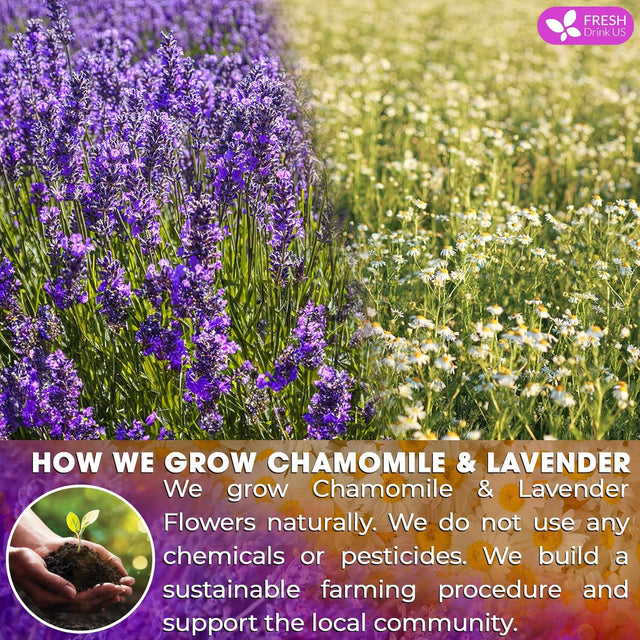 Premium Chamomile Lavender Tea Bags, Eco-conscious Tea Bags. No Sugar, No Caffeine, No Gluten, Vegan.