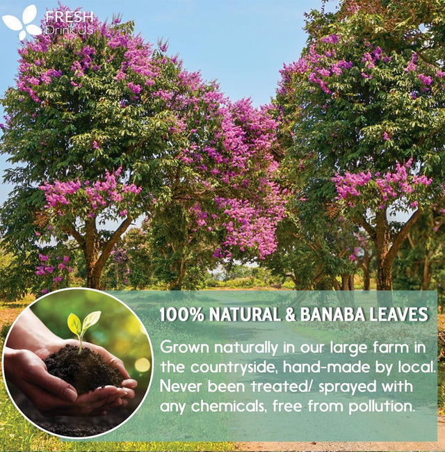 Natural Banaba Dried Leaves, Tea Bags, Powder, Whole Banaba Leaves, 100% Pure Dried Banaba Leaves, Banaba Leaf Tea, No Additives, No Caffeine, Vegan