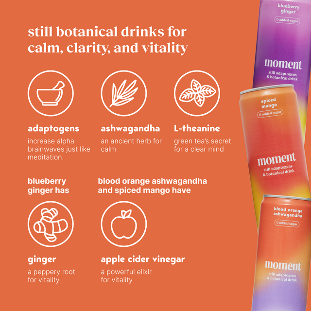 bestsellers (botanical tea | 12 pack)