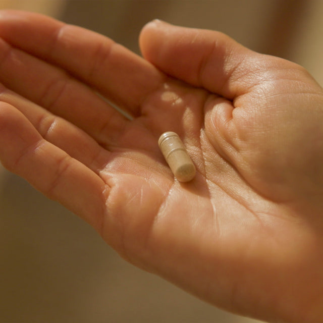 AM Boost + Burn Supplement