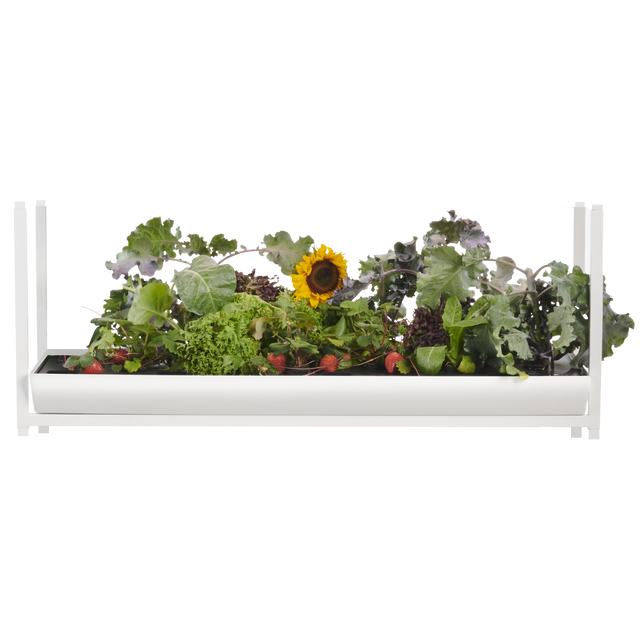 The Rise Extension 3