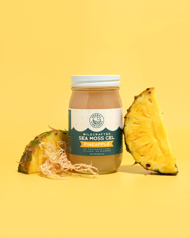 EXCLUSIVE PINEAPPLE SEA MOSS GEL