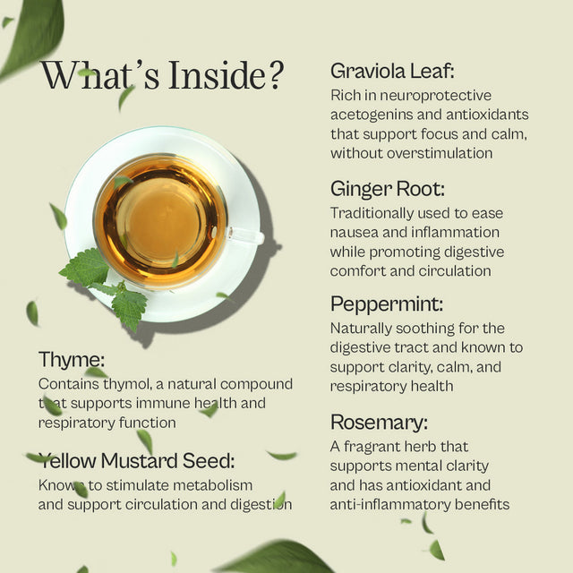 Focus Tea – Pure Graviola Blend