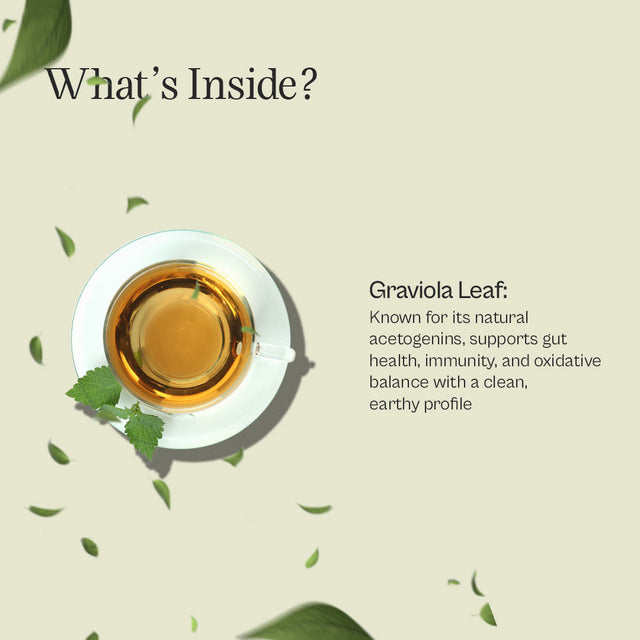 Graviola Loose Leaf Tea