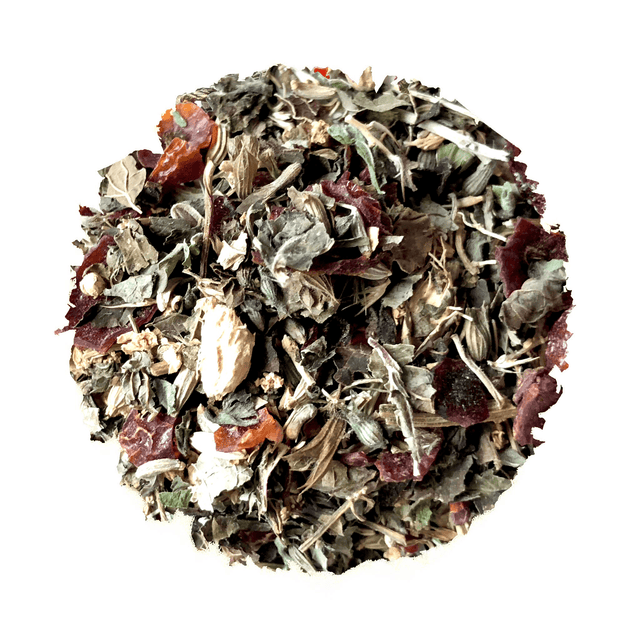 Growing Up Coastal For Kids