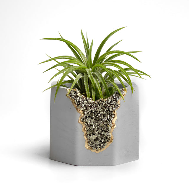 PYRITE GEODE PLANTER
