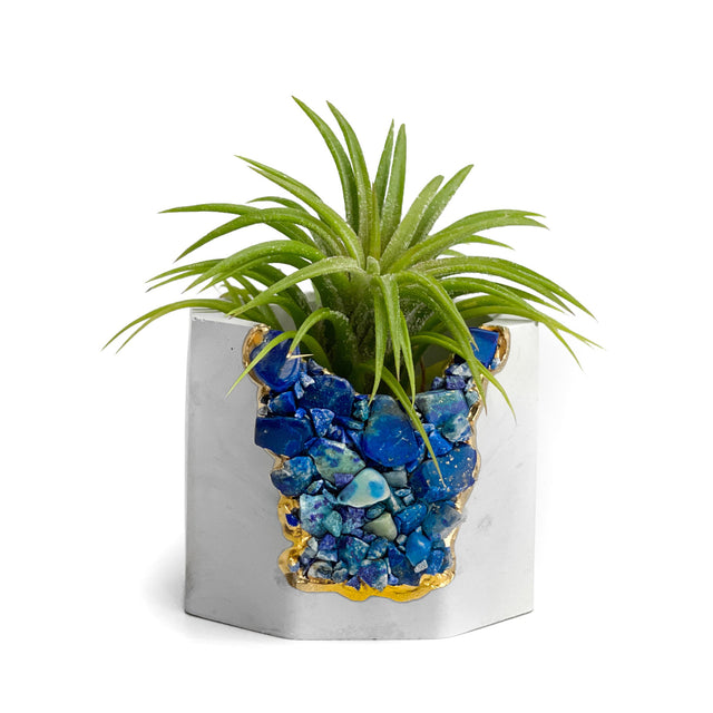 LAPIS LAZULI GEODE PLANTER