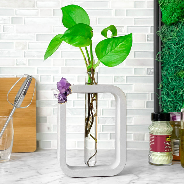 CUSTOM PROPAGATION STATION