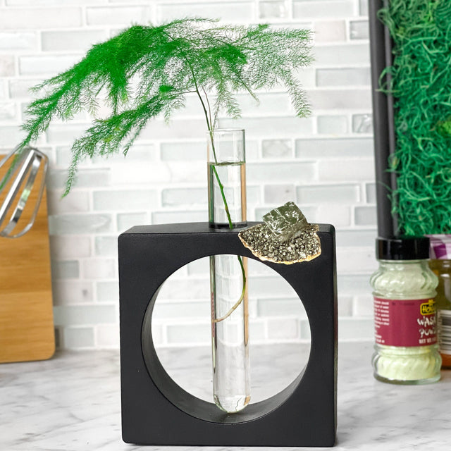 PYRITE PROPAGATION STATION