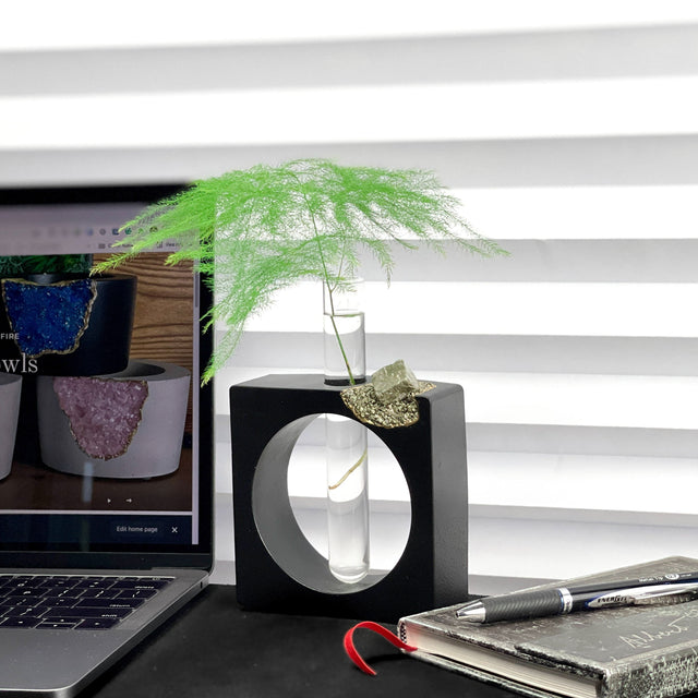 PYRITE PROPAGATION STATION