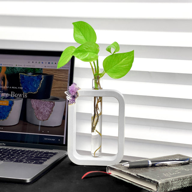 AMETHYST PROPAGATION STATION