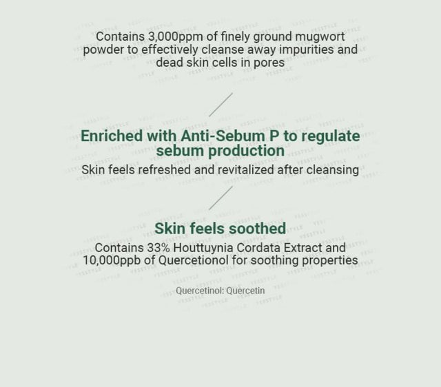 ANUA Heartleaf Quercetinol Pore Deep Cleansing Foam