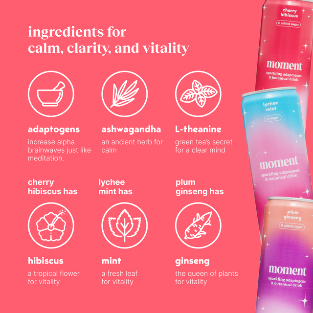 mocktail variety (sparkling mocktail | 24 pack)