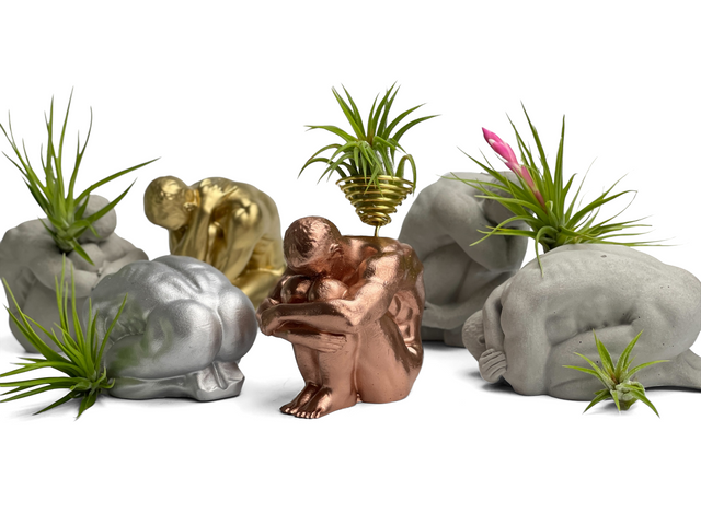 MALE BODY AIR PLANT HOLDER