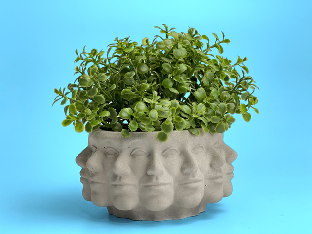 Multi Face Succulent Planter