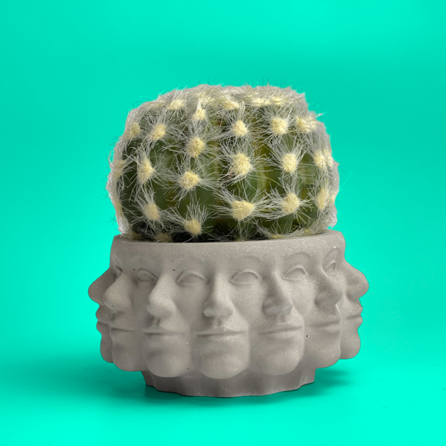 Multi Face Succulent Planter