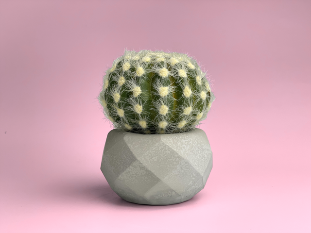 Geometric Air Plant Holder