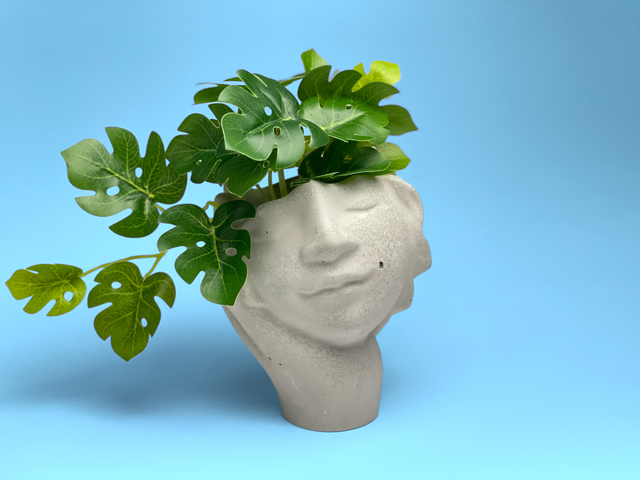Face Succulent Planter on Hand