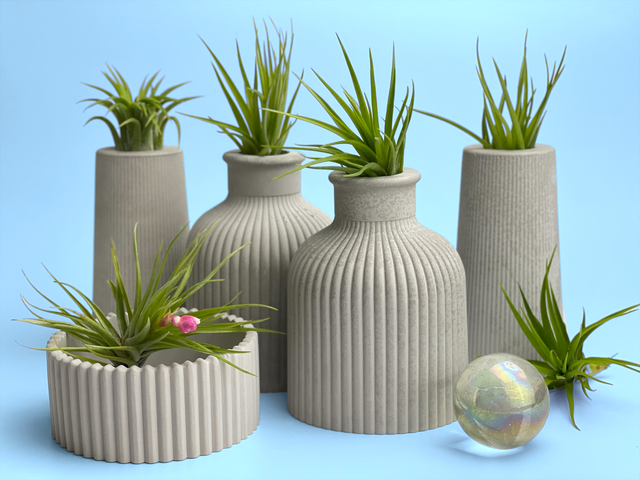 SKINNY MINI VASE | AIR PLANT HOLDER