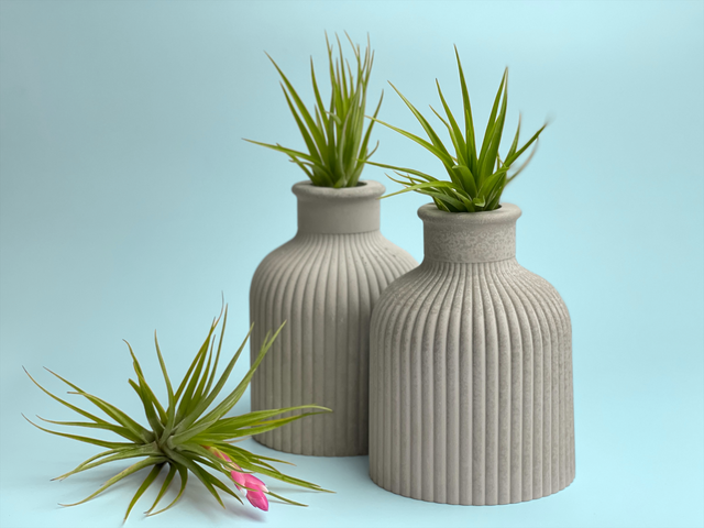 SKINNY MINI VASE | AIR PLANT HOLDER