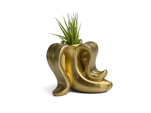 Banana Air Plant Holder