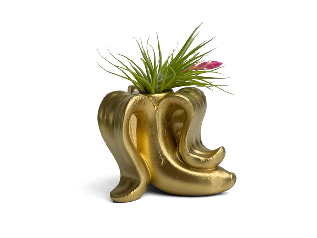 Banana Air Plant Holder