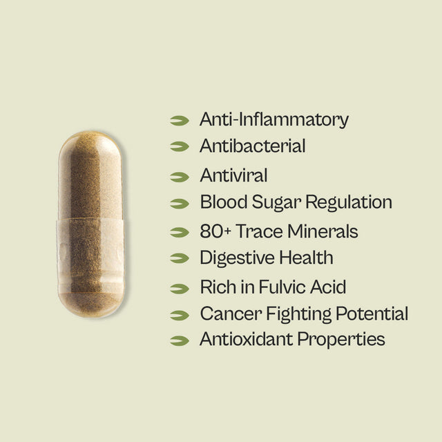 Graviola + Shilajit Supplement